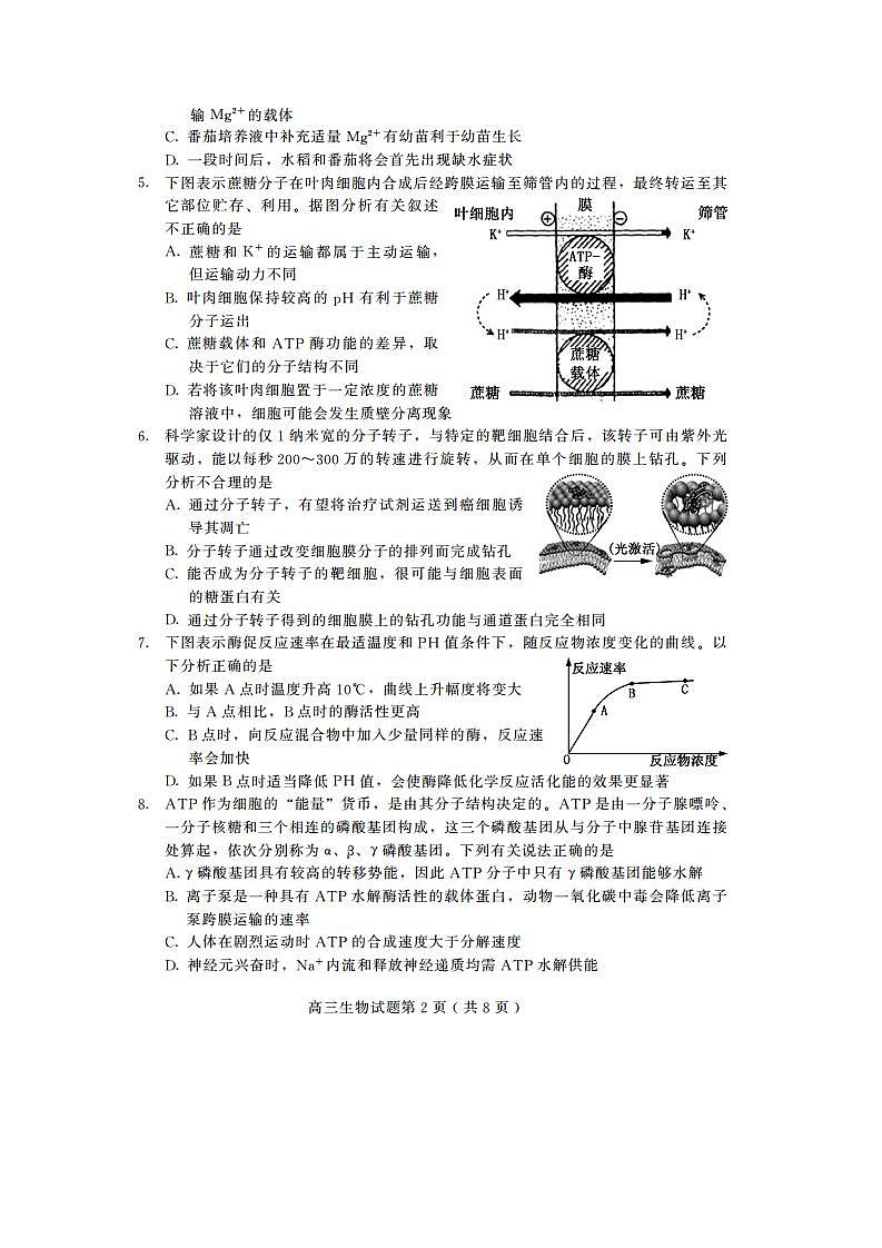 山东省潍坊高密市等三县市2021届高三10月过程性检测生物试题(可编辑PDF版)第2页