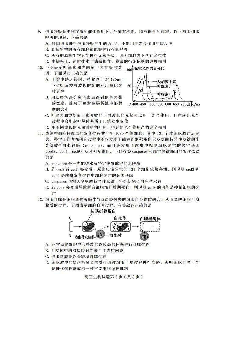 山东省潍坊高密市等三县市2021届高三10月过程性检测生物试题(可编辑PDF版)第3页