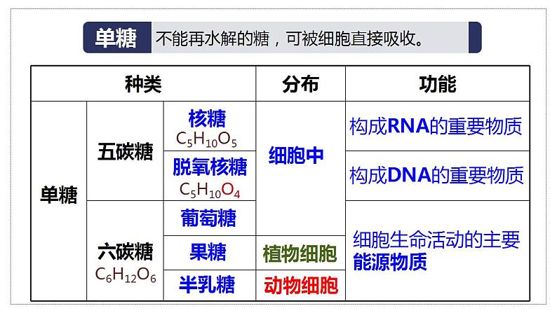 2021——2022学年高一上学期 人教版(第二章第三节细胞中的糖类和脂质 课件 (40张PPT)05