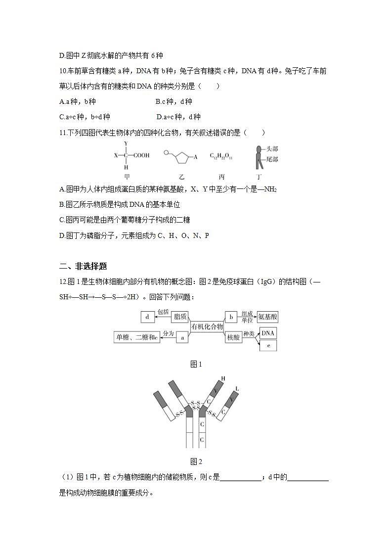 人教版同步教学必修1:2.5 核酸是遗传信息的携带者 作业第3页