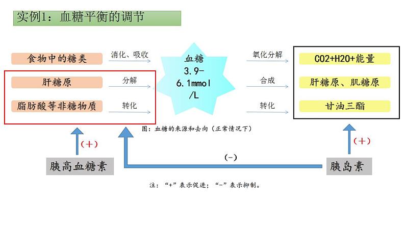 2021-2022学年高二上学期生物人教版选择性3.2 激素调节的过程 第一课时课件(19张PPT)04