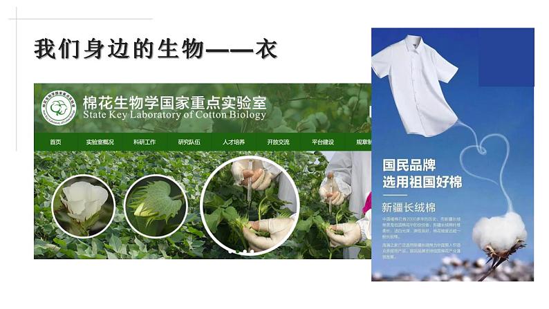 2021——2022学年高一上学期 人教版(2019)第一章第一节走进细胞 课件(44张PPT)03