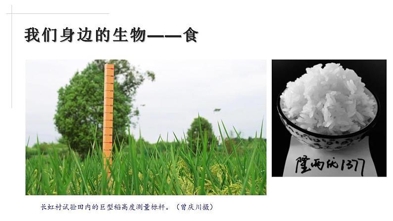 2021——2022学年高一上学期 人教版(2019)第一章第一节走进细胞 课件(44张PPT)04