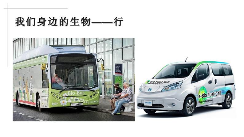 2021——2022学年高一上学期 人教版(2019)第一章第一节走进细胞 课件(44张PPT)06