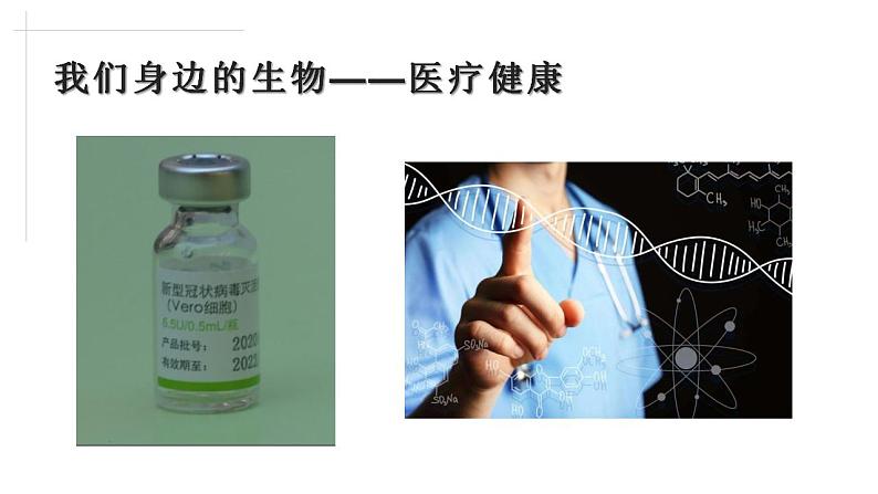 2021——2022学年高一上学期 人教版(2019)第一章第一节走进细胞 课件(44张PPT)07