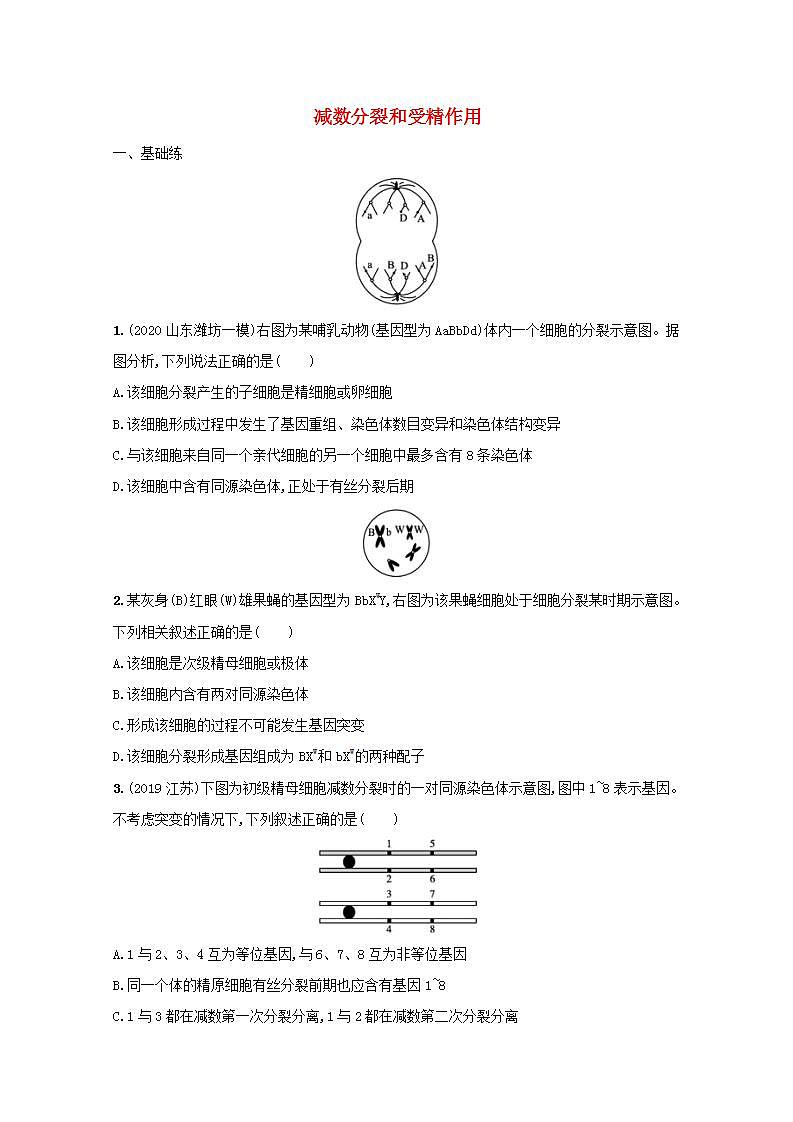 2022高考生物一轮复习课时练13减数分裂和受精作用含解析新人教版第1页