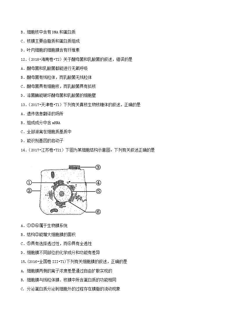 十年高考真题分类汇编(2010-2019) 生物 专题02 细胞的结构与功能 Word版无答案原卷版第3页