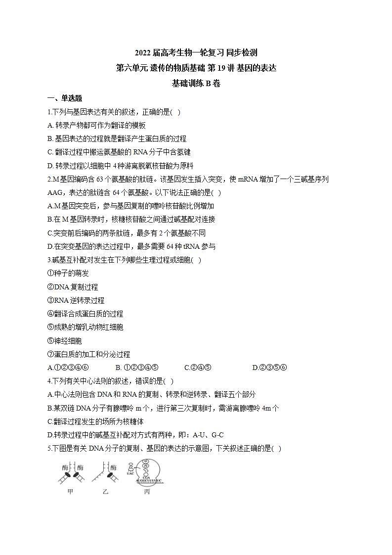 【新教材】2022届高考生物一轮复习同步检测:第六单元 遗传的物质基础 第19讲 基因的表达 基础训练B卷第1页