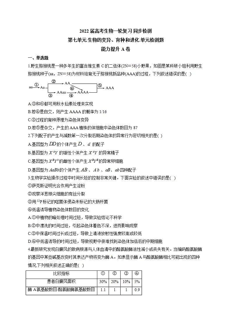 【新教材】2022届高考生物一轮复习同步检测:第七单元 生物的变异、育种和进化 单元检测题 能力提升A卷第1页