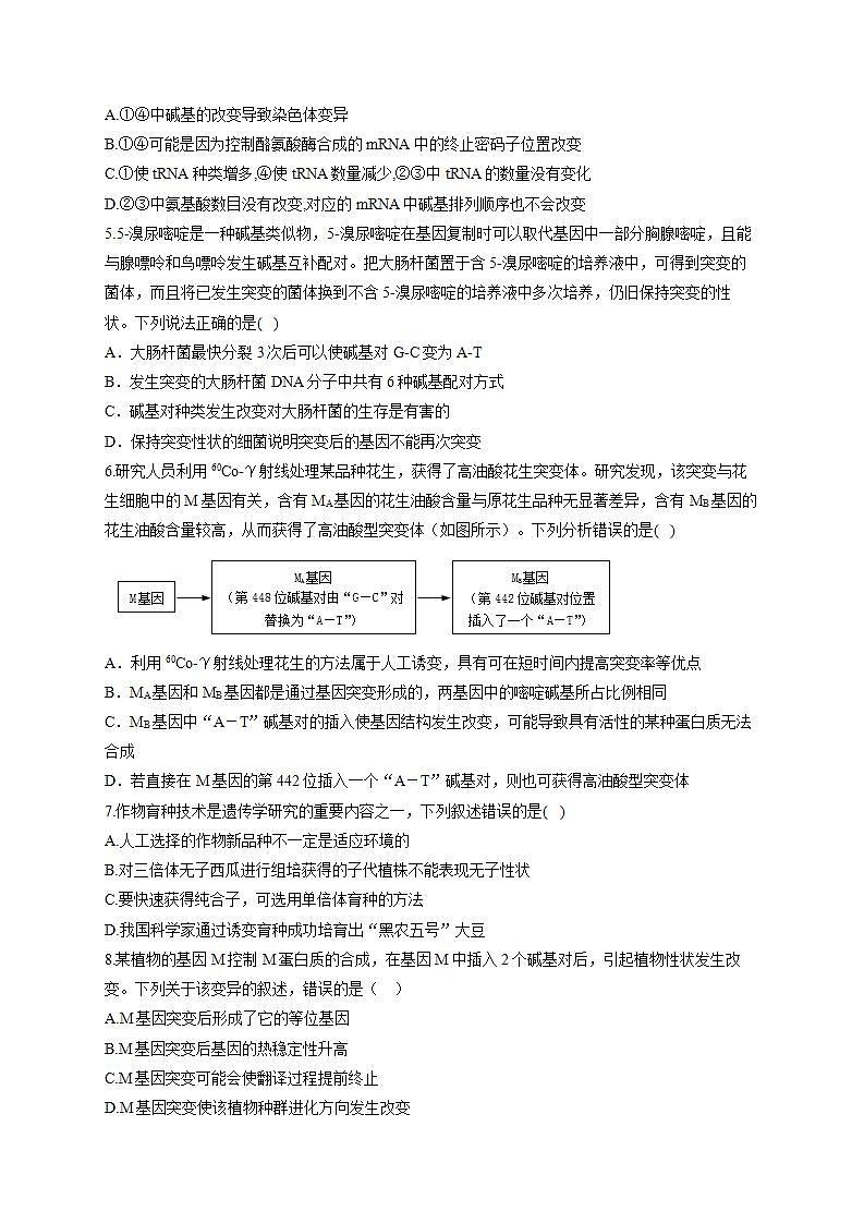 【新教材】2022届高考生物一轮复习同步检测:第七单元 生物的变异、育种和进化 单元检测题 能力提升A卷第2页