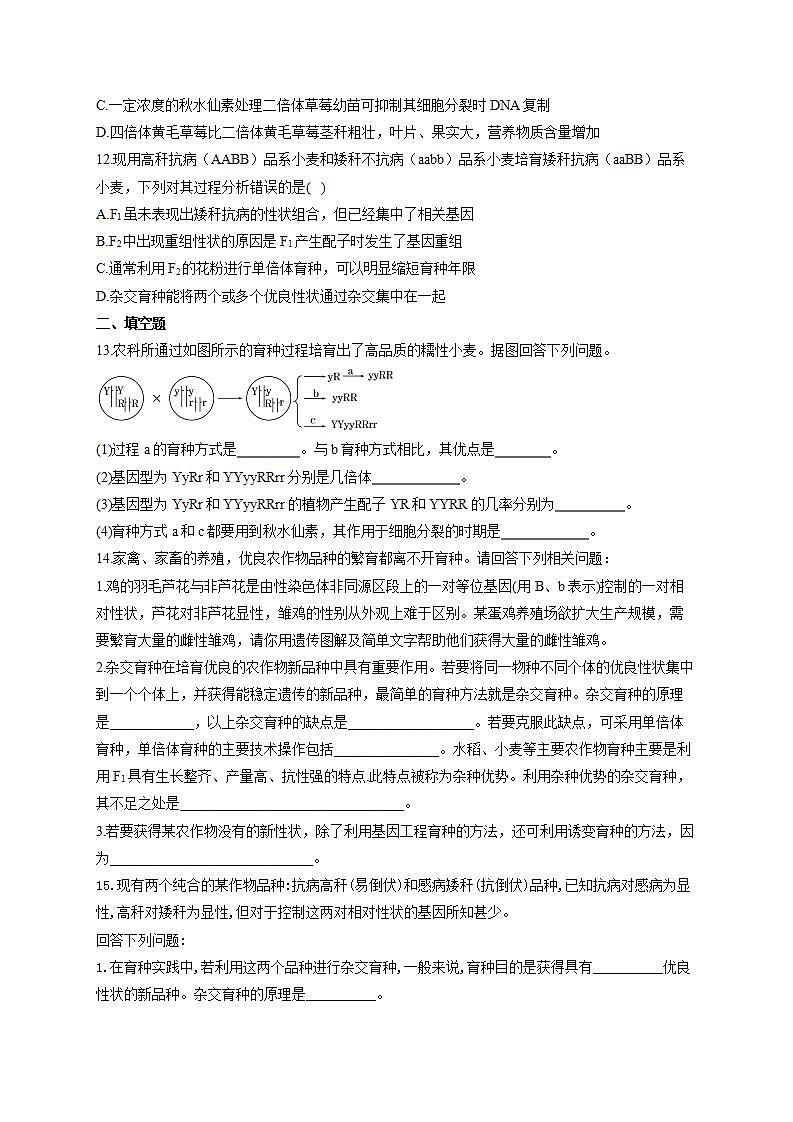 【新教材】2022届高考生物一轮复习同步检测:第七单元 生物的变异、育种和进化 第22讲 生物的育种 基础训练A卷第3页