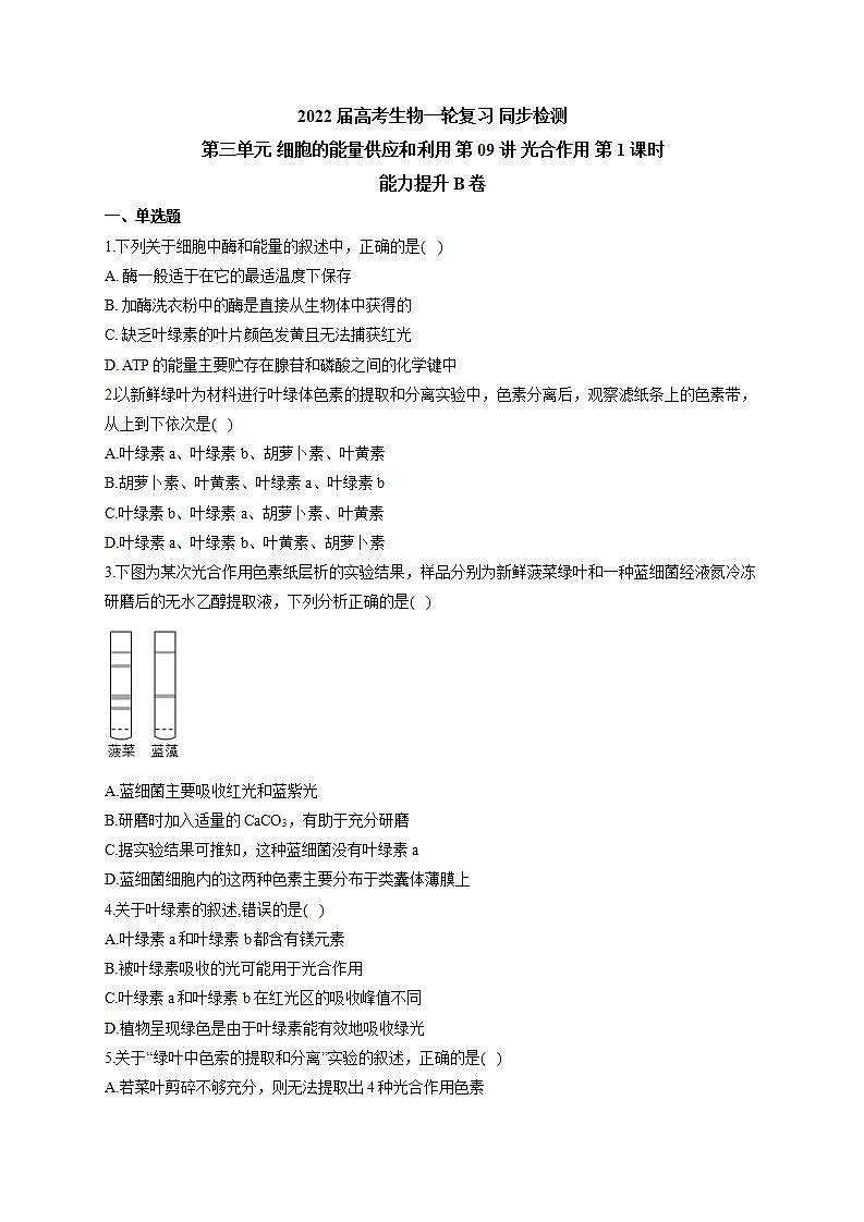 【新教材】2022届高考生物一轮复习同步检测:第三单元 细胞的能量供应和利用 第09讲 光合作用 第1课时 能力提升B卷第1页