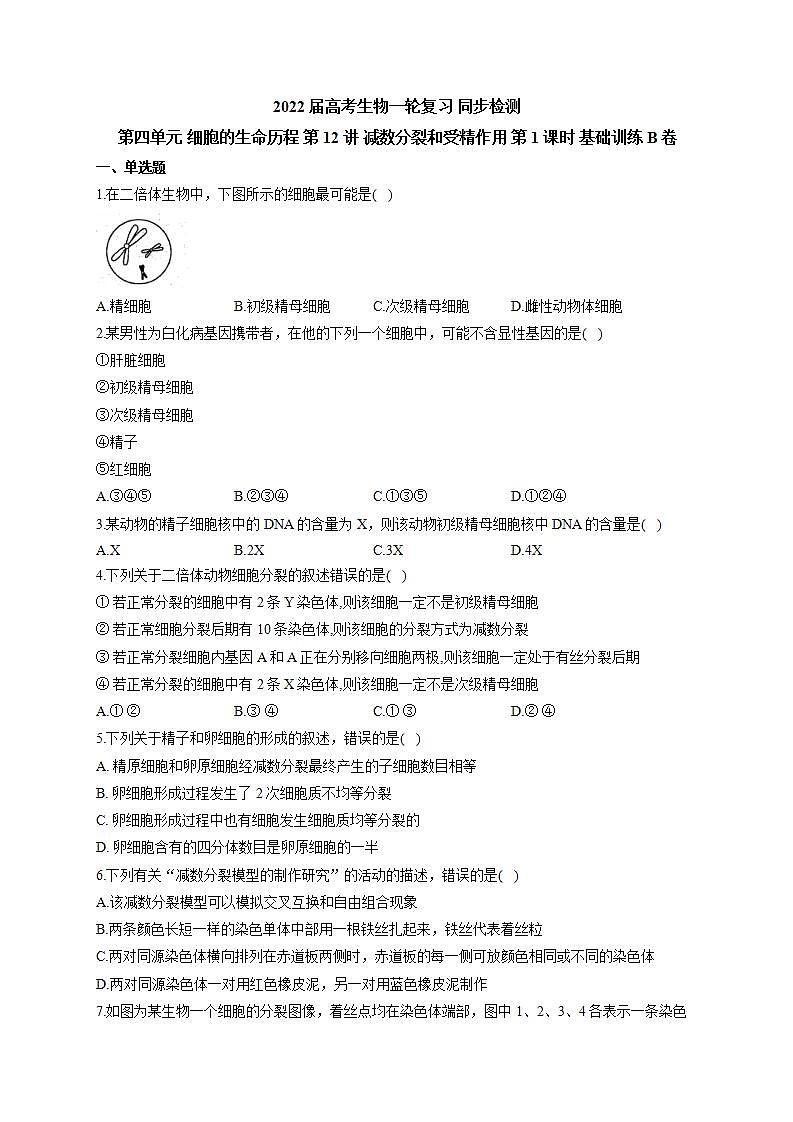 【新教材】2022届高考生物一轮复习同步检测:第四单元 细胞的生命历程 第12讲 减数分裂和受精作用 第1课时 基础训练B卷第1页