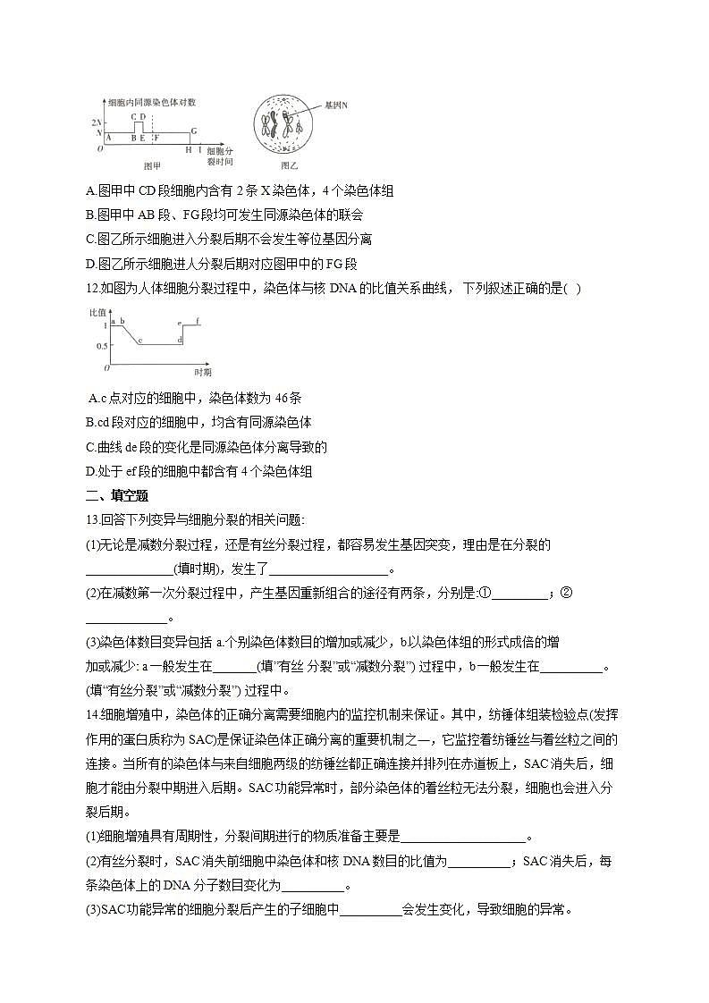 【新教材】2022届高考生物一轮复习同步检测:第四单元 细胞的生命历程 第12讲 减数分裂和受精作用 第2课时 基础训练B卷第3页