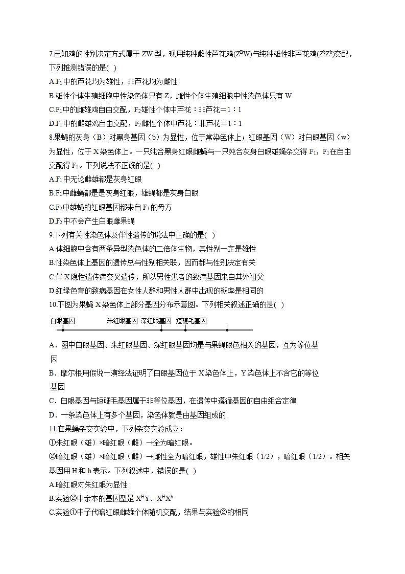 【新教材】2022届高考生物一轮复习同步检测:第五单元 遗传的基本规律 第16讲 基因在染色体上及伴性遗传 基础训练A卷第2页