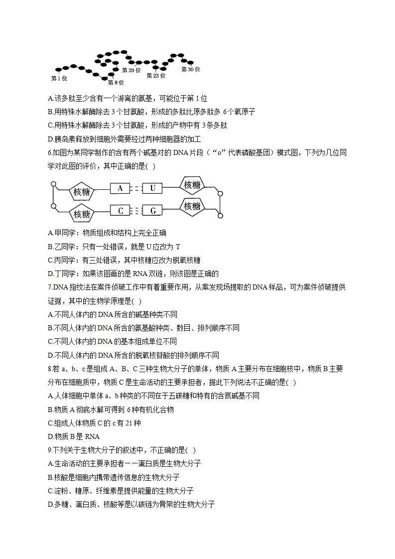 【新教材】2022届高考生物一轮复习同步检测:第一单元 细胞的概述及分子组成 第03讲 蛋白质和核酸 能力提升B卷第2页