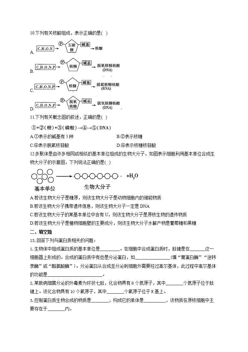 【新教材】2022届高考生物一轮复习同步检测:第一单元 细胞的概述及分子组成 第03讲 蛋白质和核酸 能力提升B卷第3页