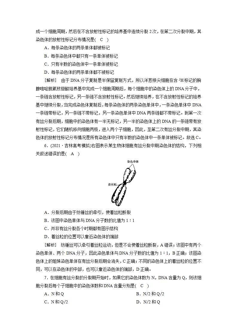 2022届高考生物(人教版)一轮总复习练习:必修一 第四单元 细胞的生命历程 Word版含答案第3页