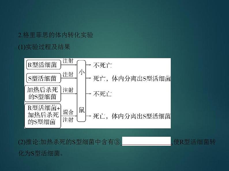 2022版高考生物选考江苏专用一轮总复习课件:专题8遗传的分子基础 —基础篇第3页
