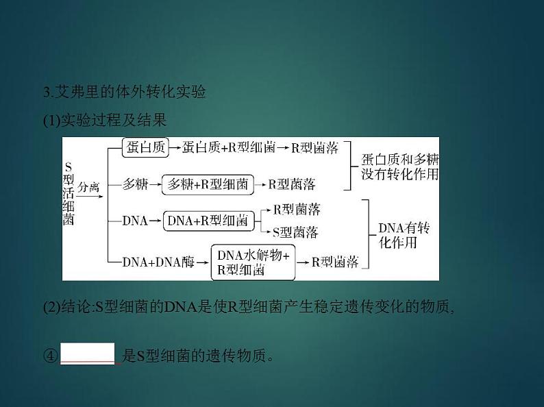 2022版高考生物选考江苏专用一轮总复习课件:专题8遗传的分子基础 —基础篇第4页