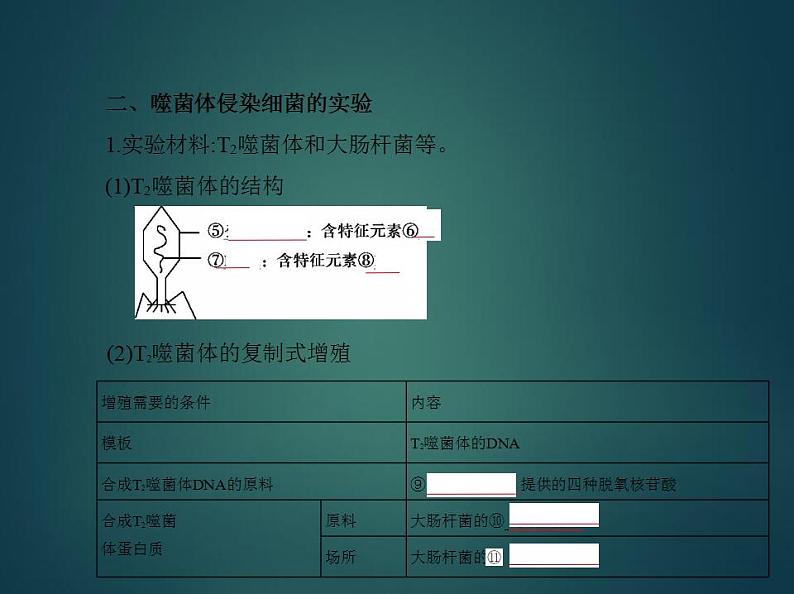 2022版高考生物选考江苏专用一轮总复习课件:专题8遗传的分子基础 —基础篇第6页