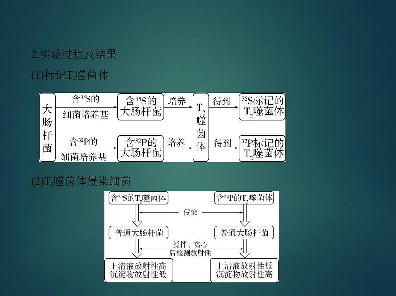 2022版高考生物选考江苏专用一轮总复习课件:专题8遗传的分子基础 —基础篇第7页