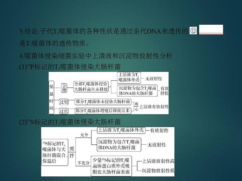 2022版高考生物选考江苏专用一轮总复习课件:专题8遗传的分子基础 —基础篇第8页