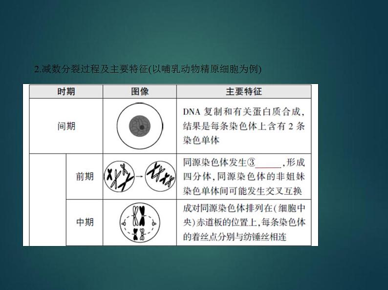 2022版高考生物选考江苏专用一轮总复习课件:专题9遗传的细胞基础 —基础篇03