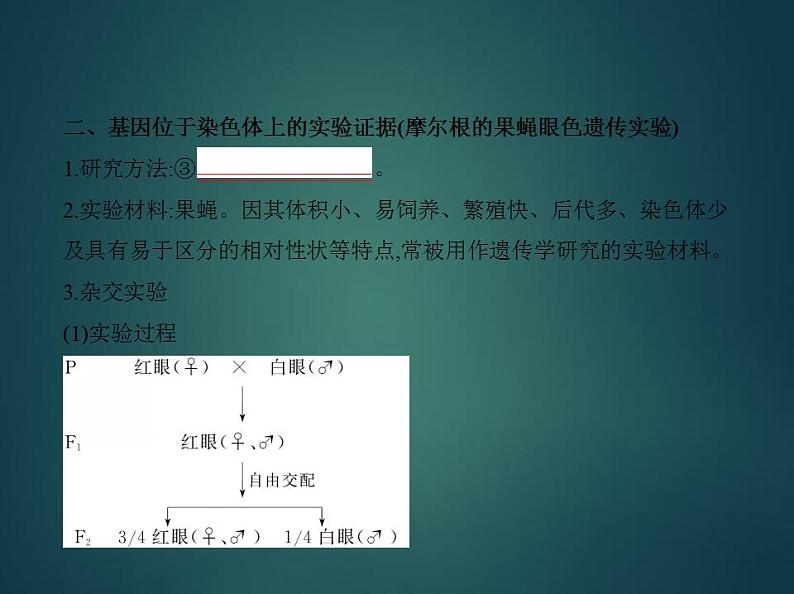 2022版高考生物选考江苏专用一轮总复习课件:专题12伴性遗传与人类遗传病 —基础篇03