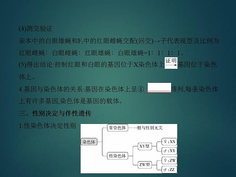 2022版高考生物选考江苏专用一轮总复习课件:专题12伴性遗传与人类遗传病 —基础篇05