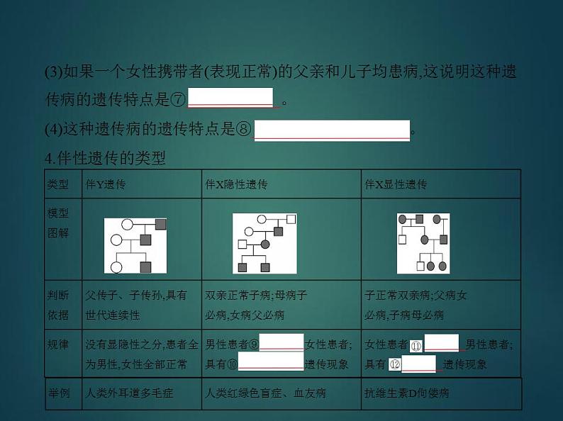 2022版高考生物选考江苏专用一轮总复习课件:专题12伴性遗传与人类遗传病 —基础篇07