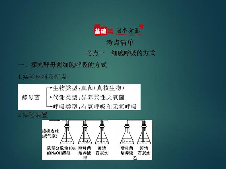 2022版高考生物选考江苏专用一轮总复习课件:专题5细胞呼吸 —基础篇02