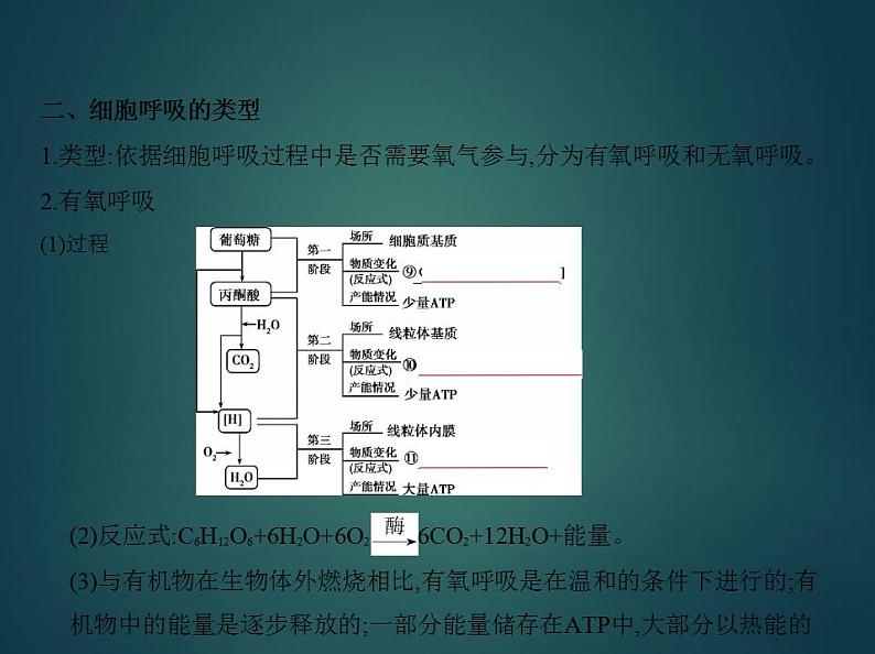 2022版高考生物选考江苏专用一轮总复习课件:专题5细胞呼吸 —基础篇04