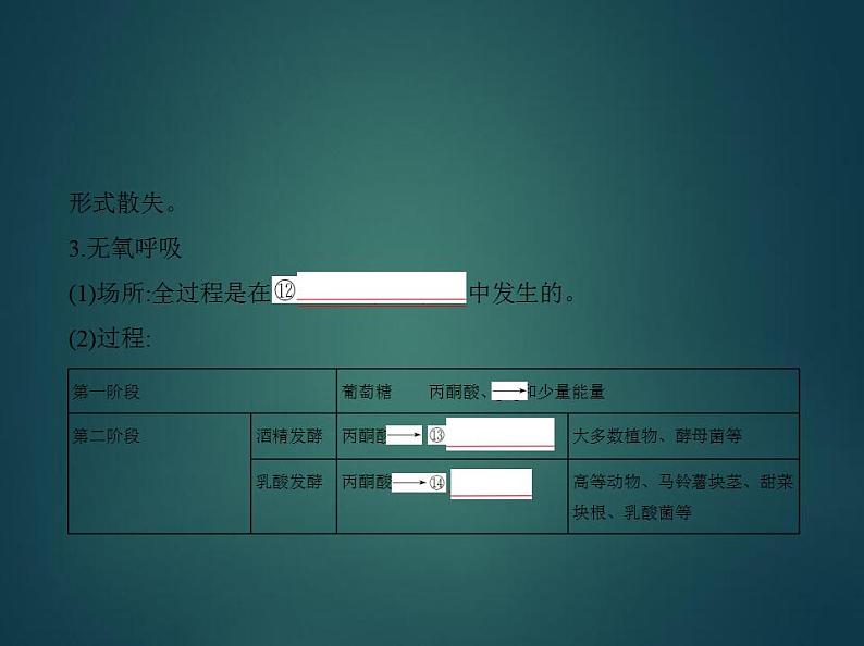 2022版高考生物选考江苏专用一轮总复习课件:专题5细胞呼吸 —基础篇05
