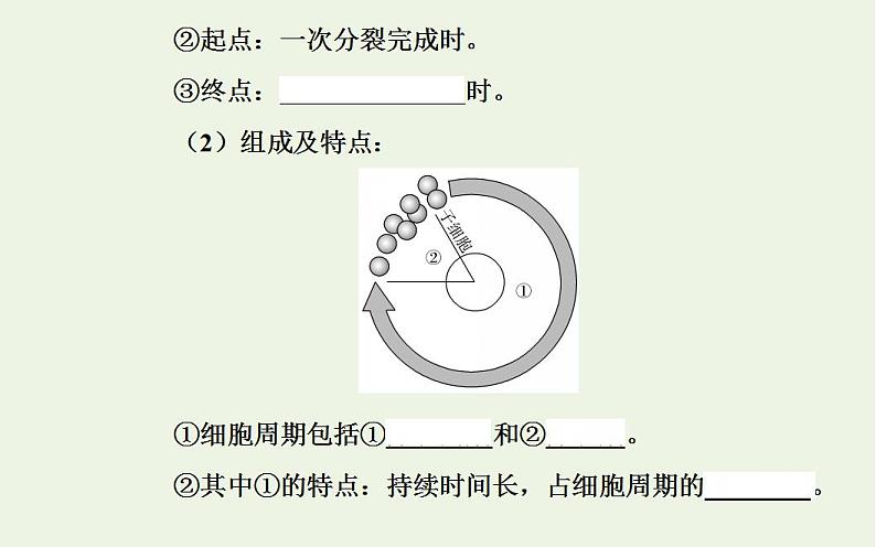 2022届新教材高考生物一轮复习专题五细胞的生命历程课件第6页