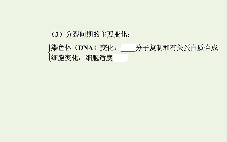 2022届新教材高考生物一轮复习专题五细胞的生命历程课件第7页