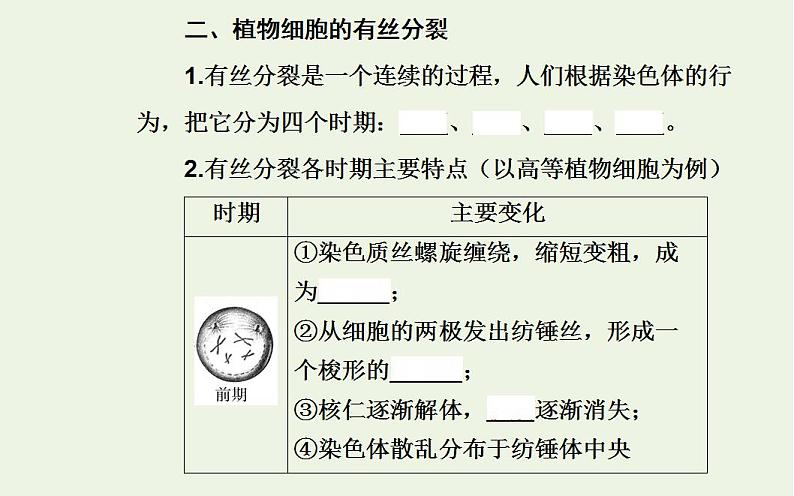 2022届新教材高考生物一轮复习专题五细胞的生命历程课件第8页