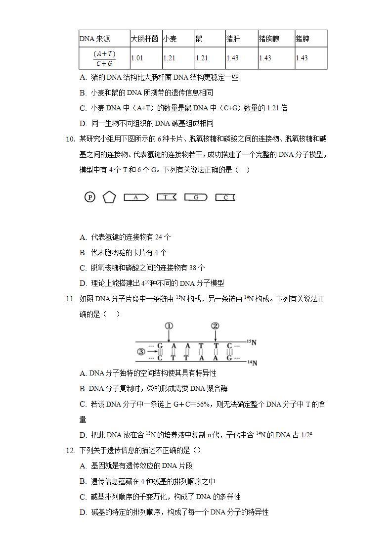 3.2DNA的结构 同步练习   人教版 (2019)高中生物必修第二册03