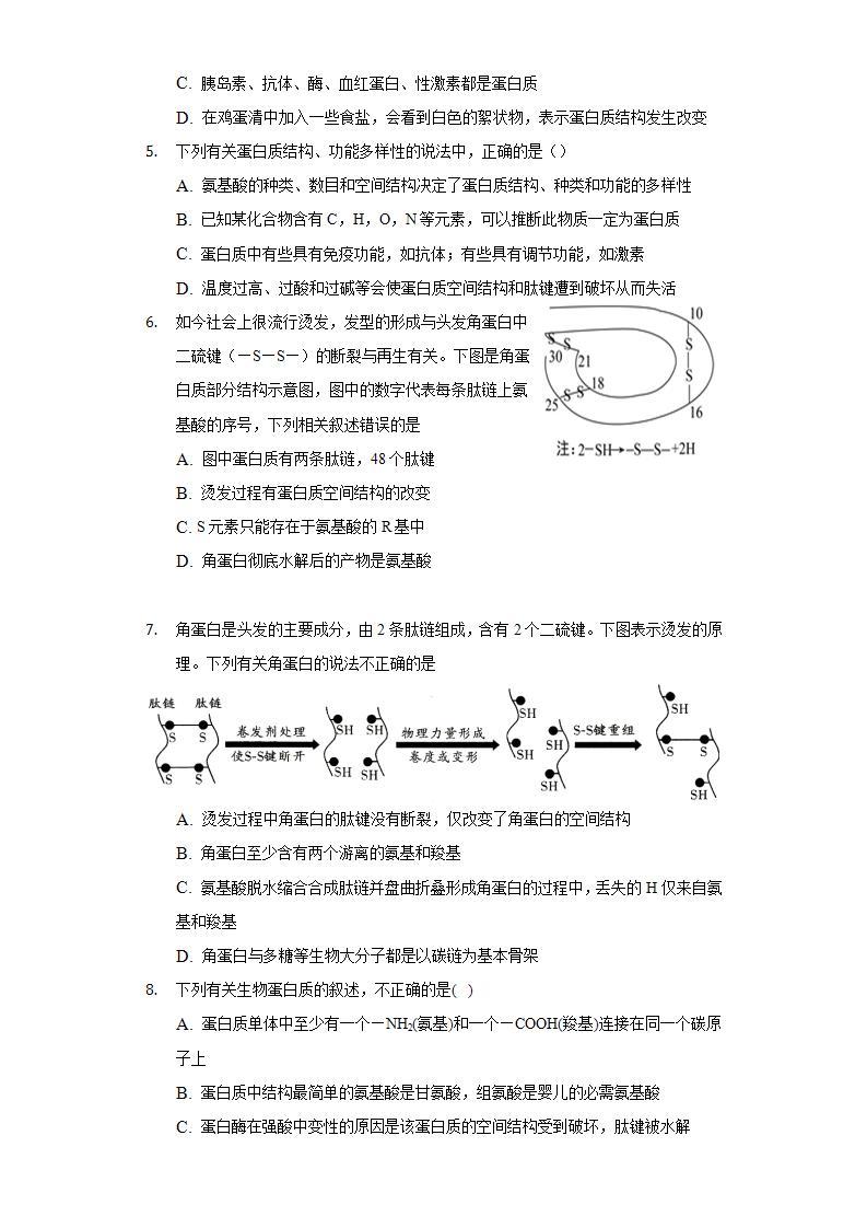 2.4蛋白质是生命活动的主要承担者  同步练习 人教版（2019）高中生物必修第一册02