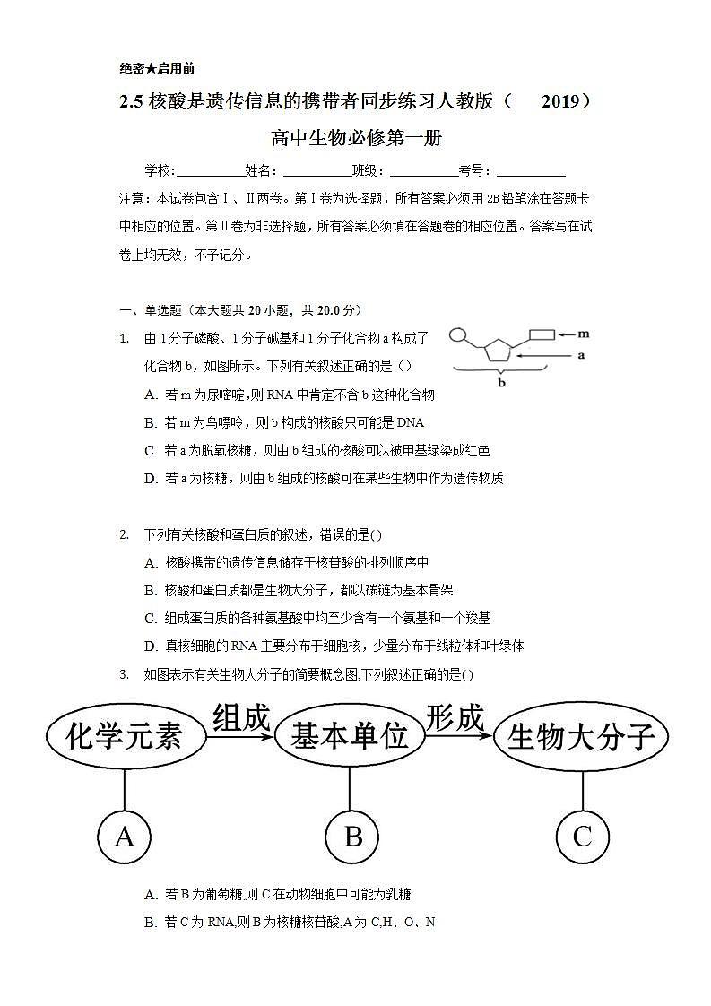 2.5核酸是遗传信息的携带者 同步练习 人教版(2019)高中生物必修第一册第1页