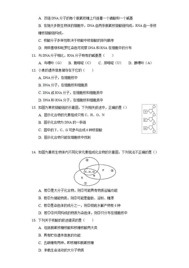 2.5核酸是遗传信息的携带者 同步练习 人教版(2019)高中生物必修第一册第3页