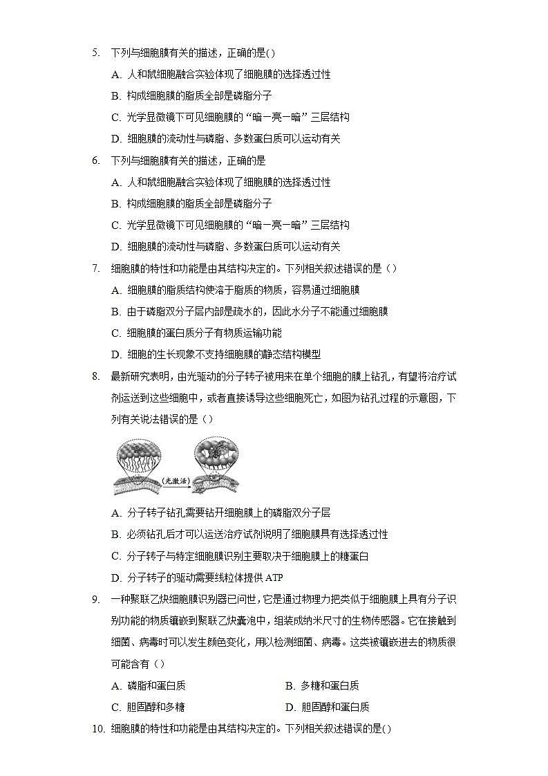3.1细胞膜的结构和功能 同步练习 人教版(2019)高中生物必修第一册02