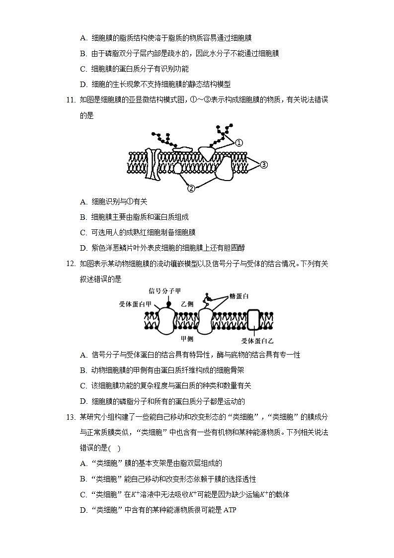3.1细胞膜的结构和功能 同步练习 人教版(2019)高中生物必修第一册03