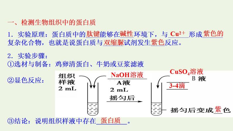 2021_2022学年新教材高中生物第1章细胞的分子组成课件打包4套苏教版必修105