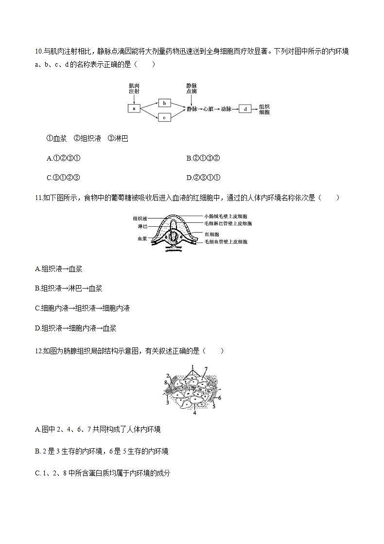 人教版(新课标)高中生物必修3 1.1 细胞生活的环境课后作业第3页