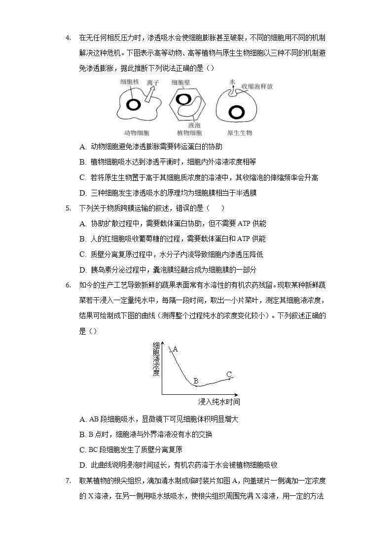 2.1.2物质进出细胞的方式  同步练习  北师大版（2019）高中生物必修一02