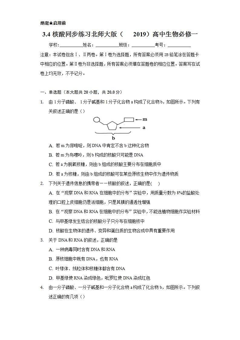 3.4核酸 同步练习 北师大版(2019)高中生物必修一01