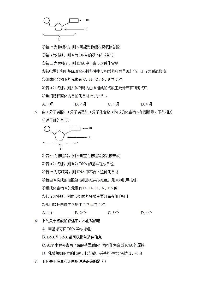 3.4核酸 同步练习 北师大版(2019)高中生物必修一02