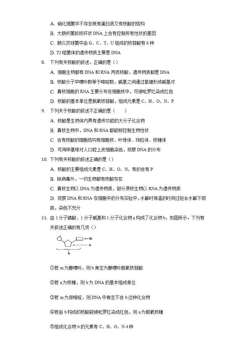 3.4核酸 同步练习 北师大版(2019)高中生物必修一03