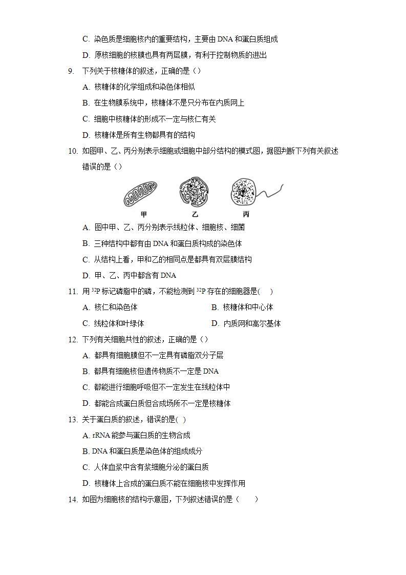 2.3细胞核 同步练习  北师大版（2019）高中生物必修一03